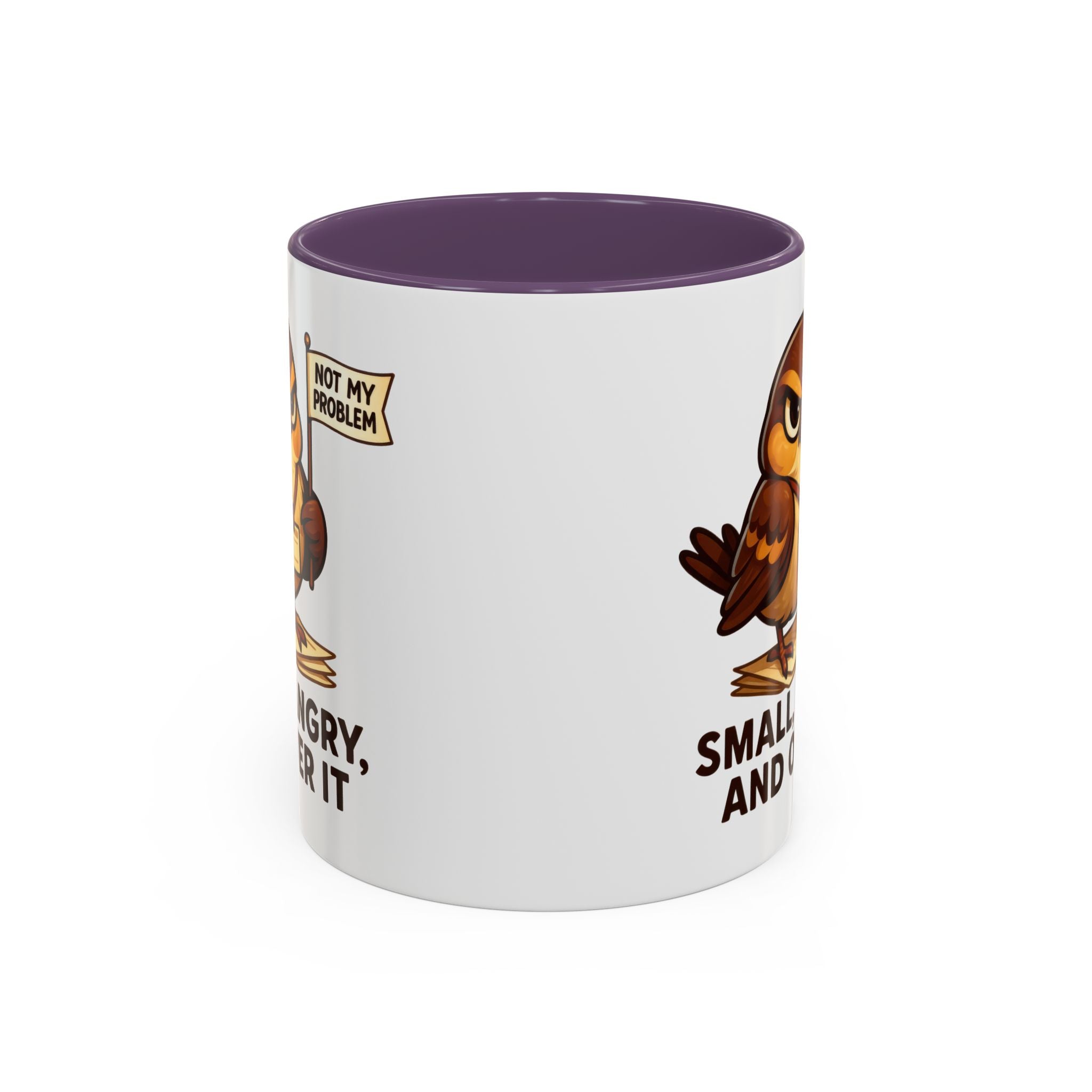 Funny Owl Coffee Mug, not my problem  Small Angry Owl Cup, Coffee Lover Present, Quirky Office