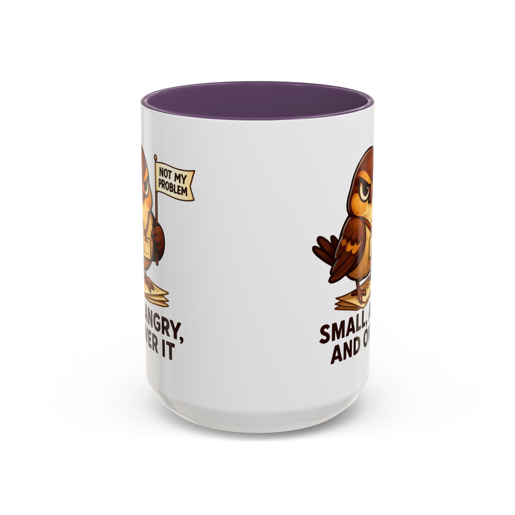 Funny Owl Coffee Mug, not my problem  Small Angry Owl Cup, Coffee Lover Present, Quirky Office