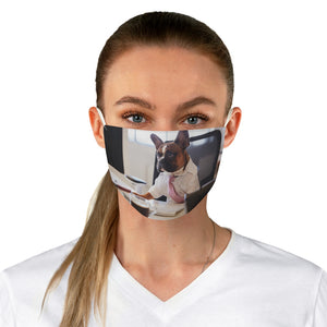 Office  Dog funny humor Fabric Face Mask