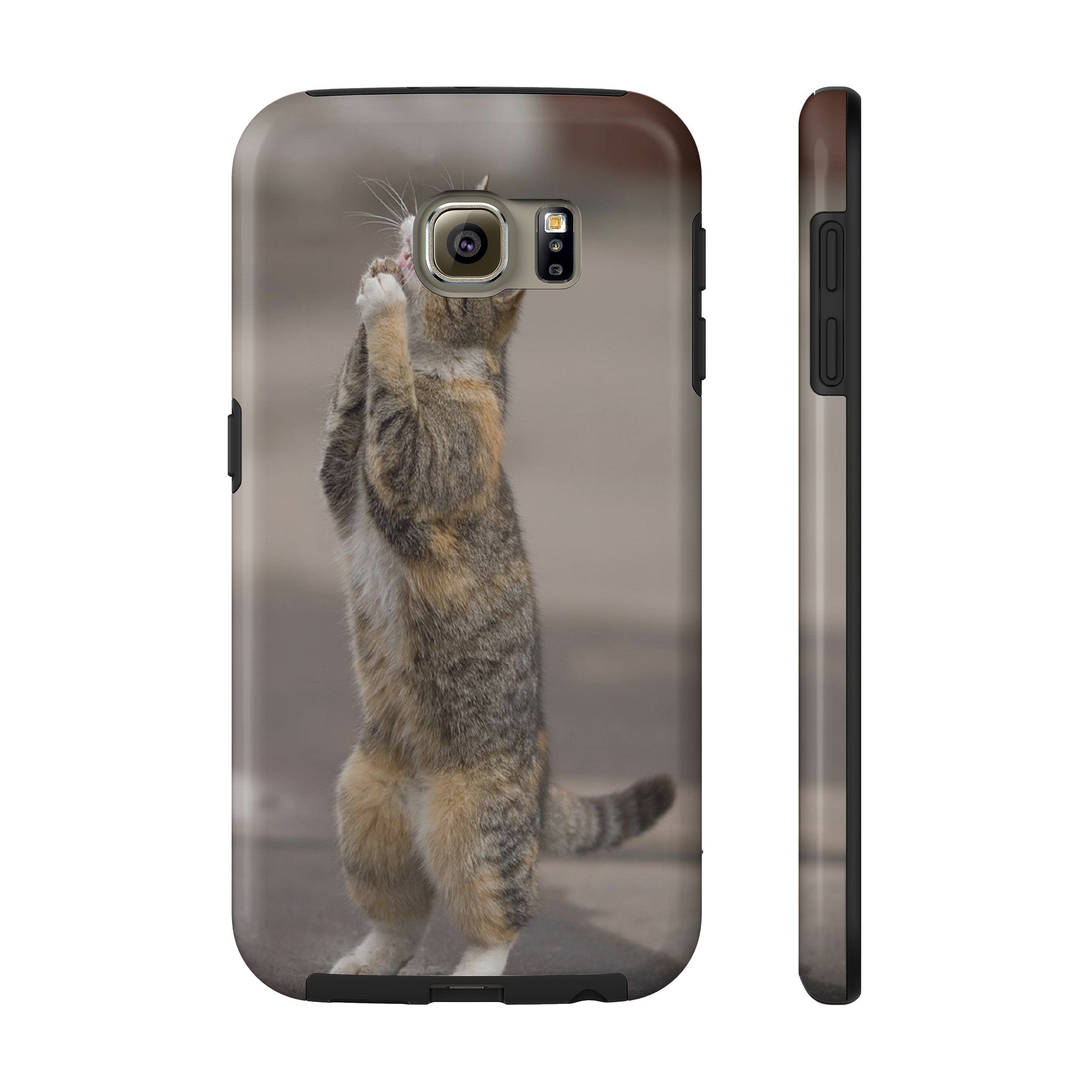 BEGGING CAT   Phone Case