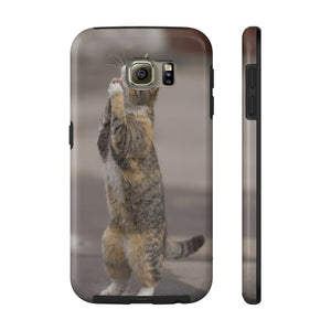 BEGGING CAT   Phone Case