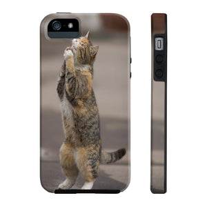 BEGGING CAT   Phone Case