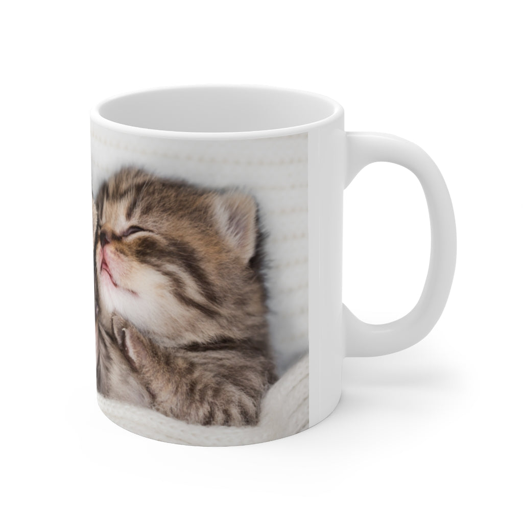 two sleeping baby kittens cute Ceramic Mug 11oz