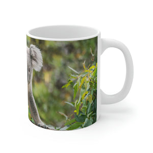 Koala on tree branch White Ceramic Mug