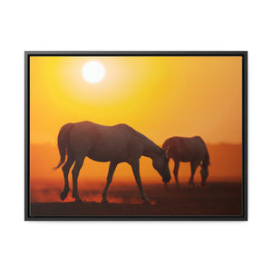 Silhouette of horses Gallery Canvas Wraps, Horizontal Frame