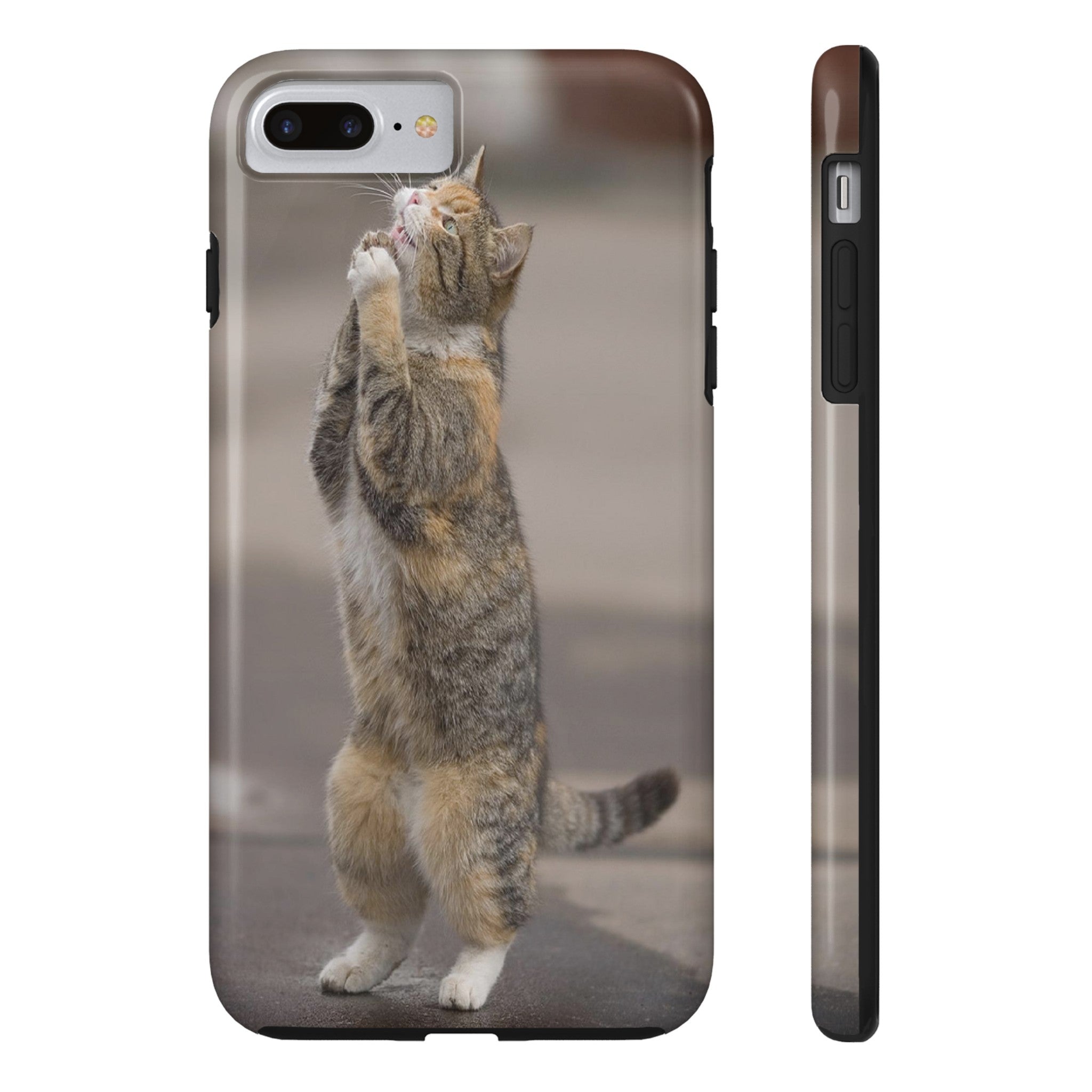 BEGGING CAT   Phone Case