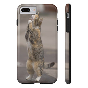 BEGGING CAT   Phone Case