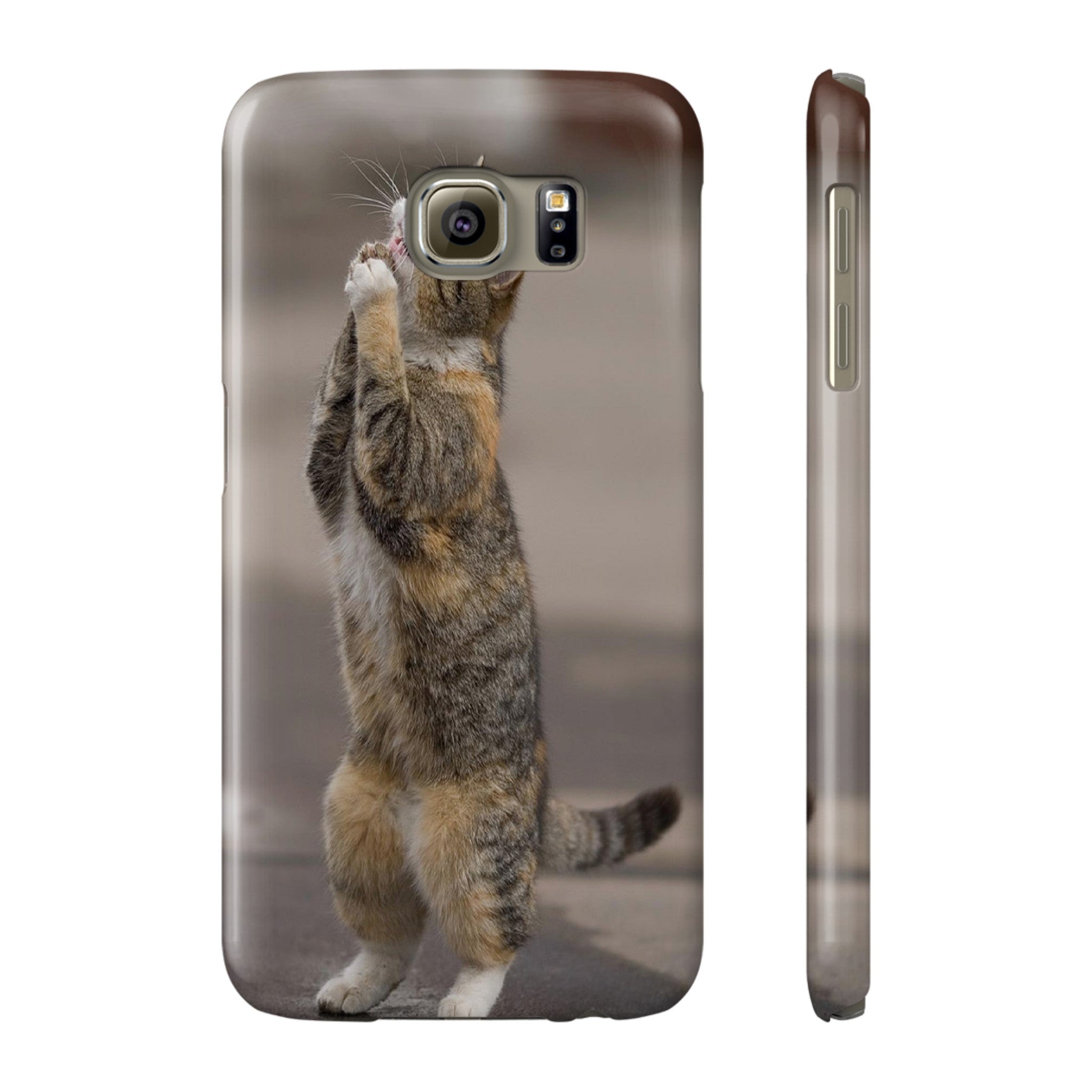 BEGGING CAT   Phone Case