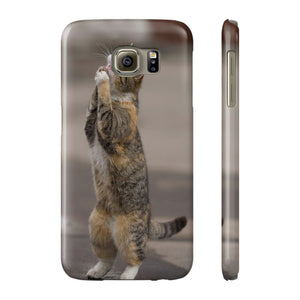 BEGGING CAT   Phone Case
