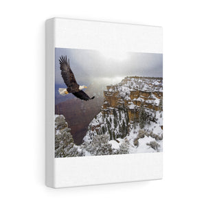 Soaring eagle with mountains Canvas Gallery Wraps
