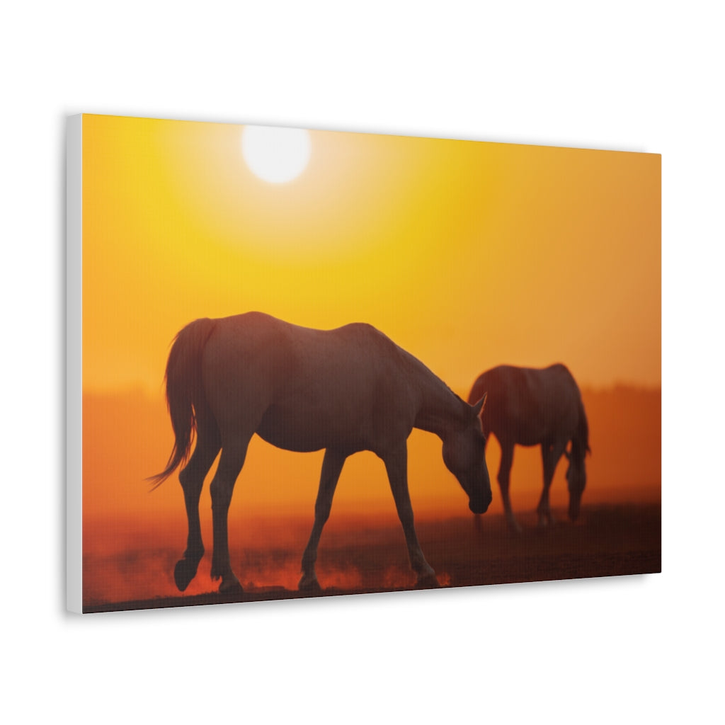 Horses at sunset Canvas Gallery Wraps