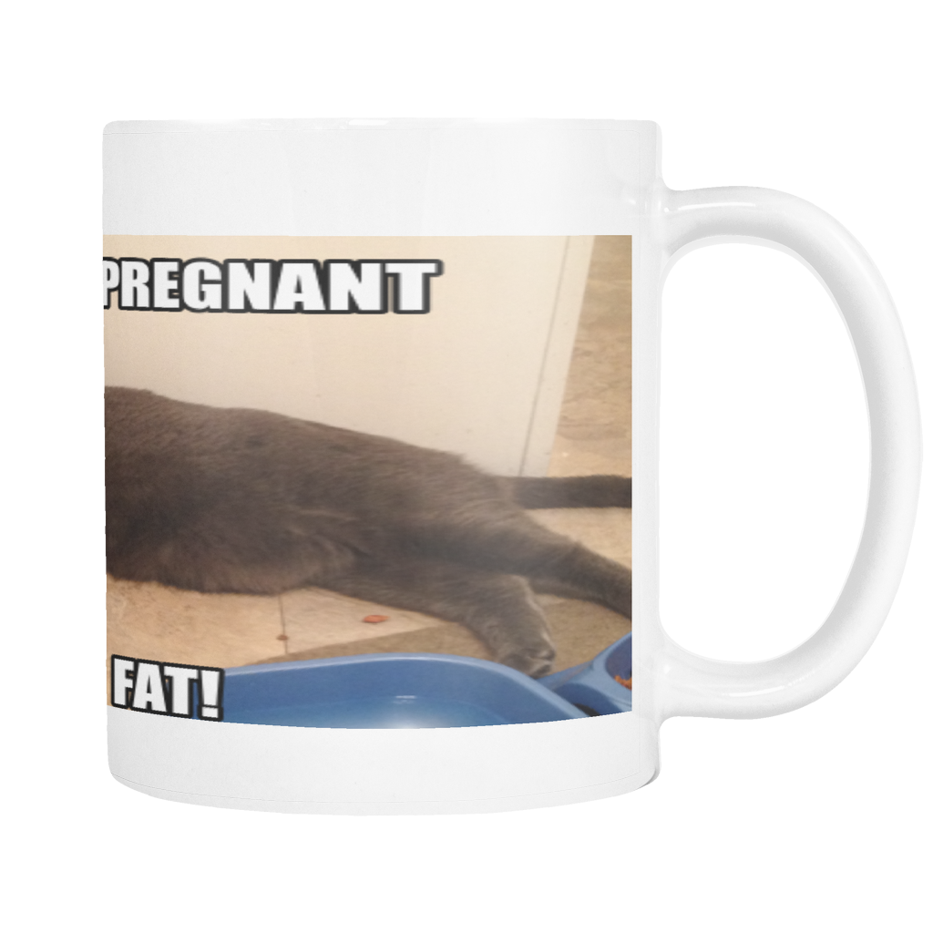 CAT MEME OF PREGNANT CAT ON 11 OUNCE COFFEE MUG