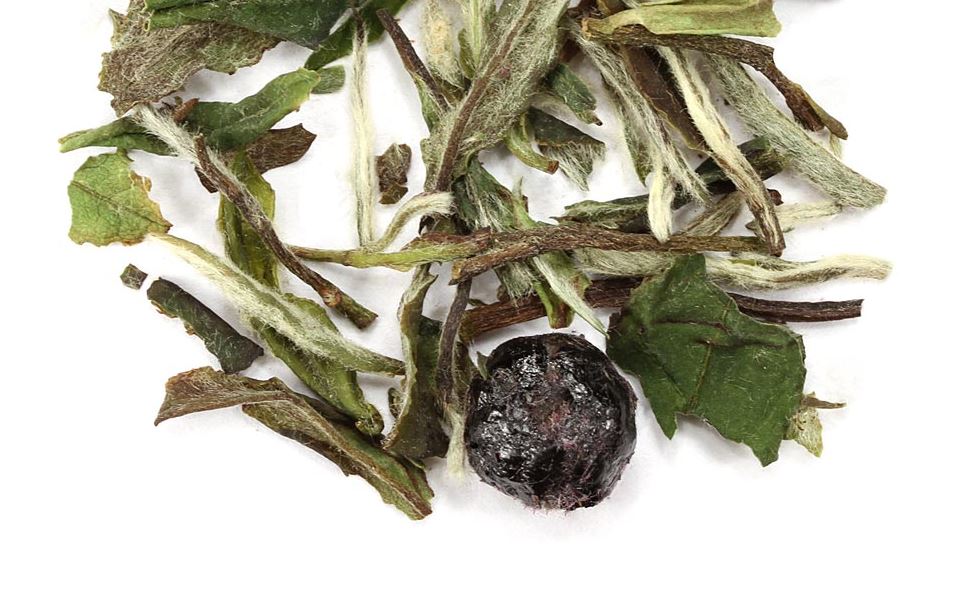 white blueberry tea loose leaf 5 ounce bag new fresh