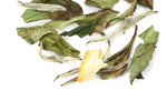 white grapefruit tea loose leaf 5 ounce bag