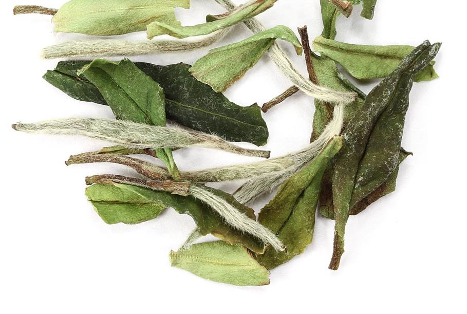 white peony tea loose leaf 5 ounce bag