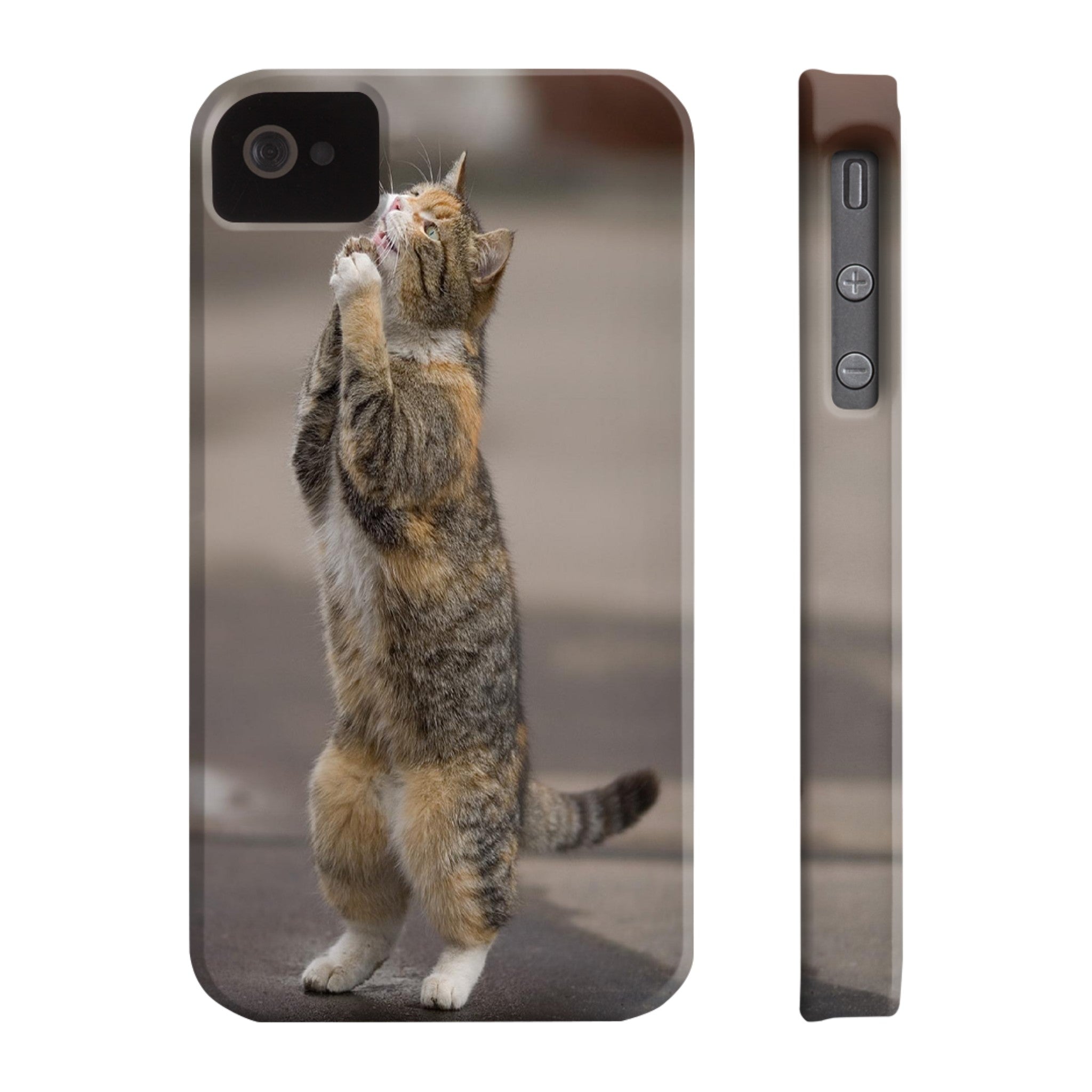 BEGGING CAT   Phone Case
