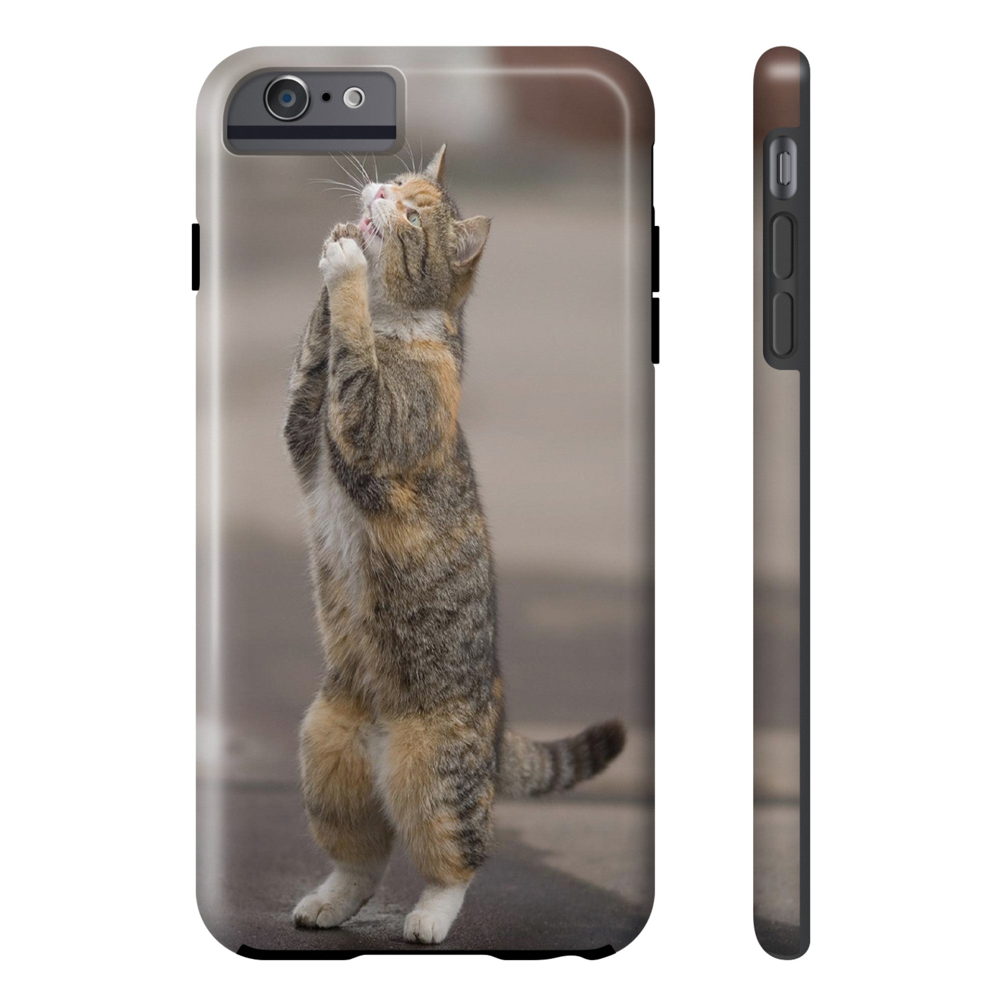 BEGGING CAT   Phone Case