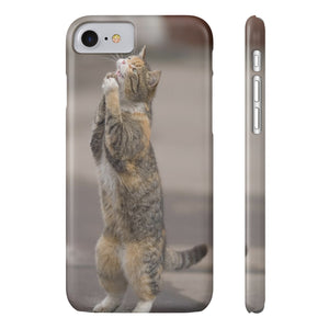BEGGING CAT   Phone Case