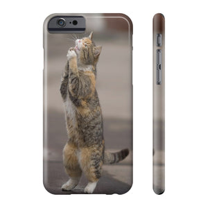 BEGGING CAT   Phone Case