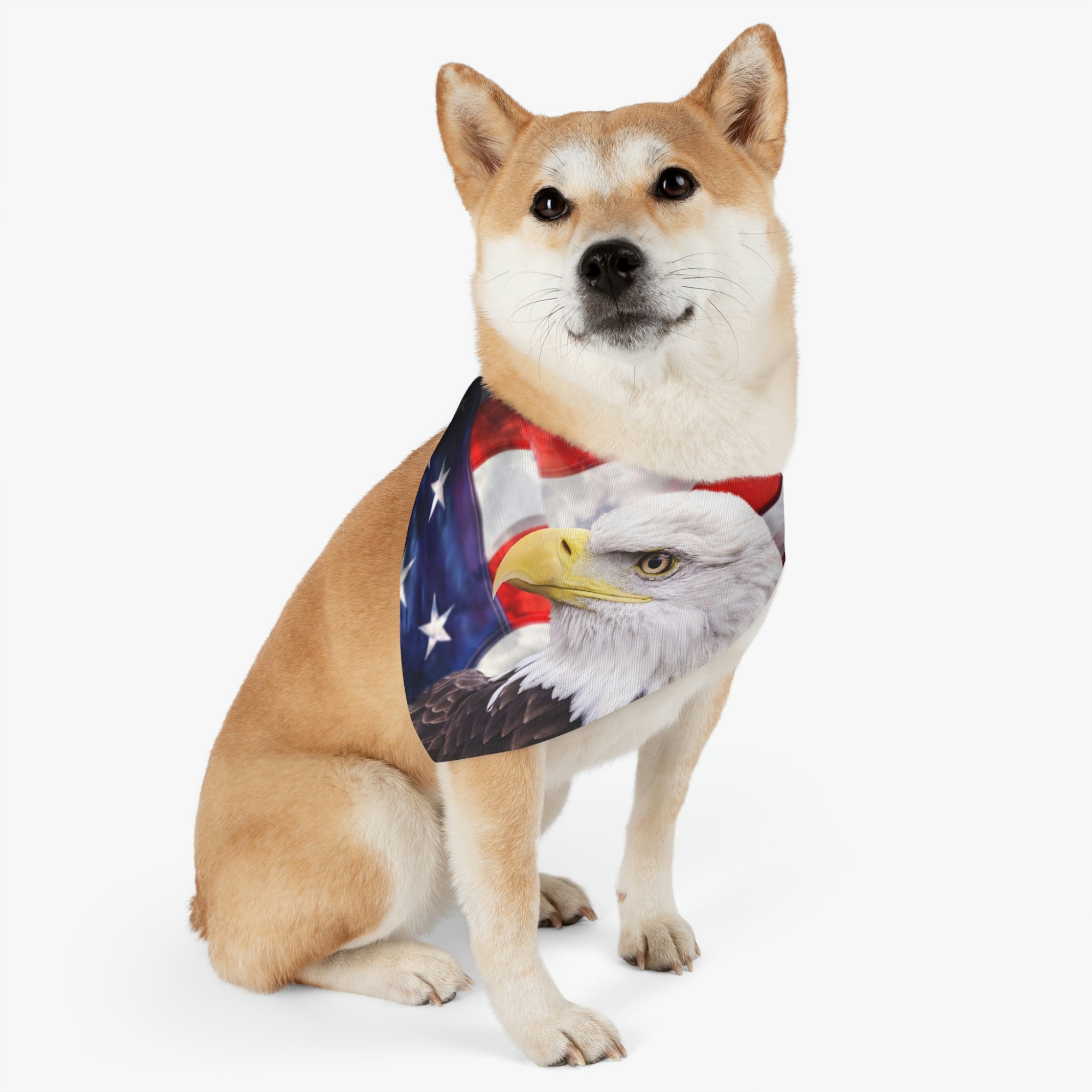 Eagle Pet Bandana Collar