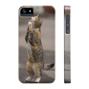 BEGGING CAT   Phone Case