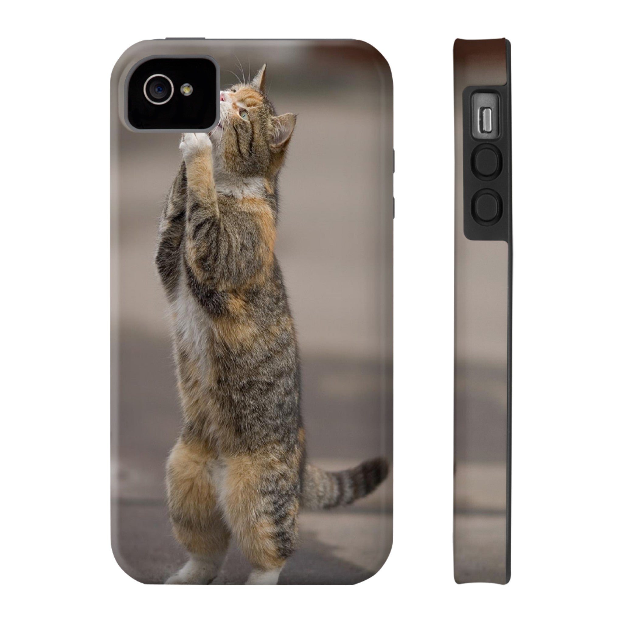 BEGGING CAT   Phone Case