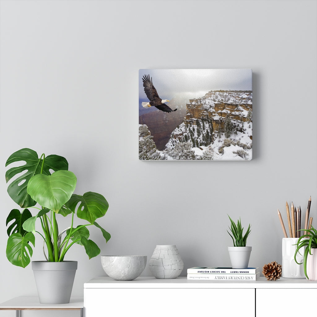 Soaring eagle with mountains Canvas Gallery Wraps