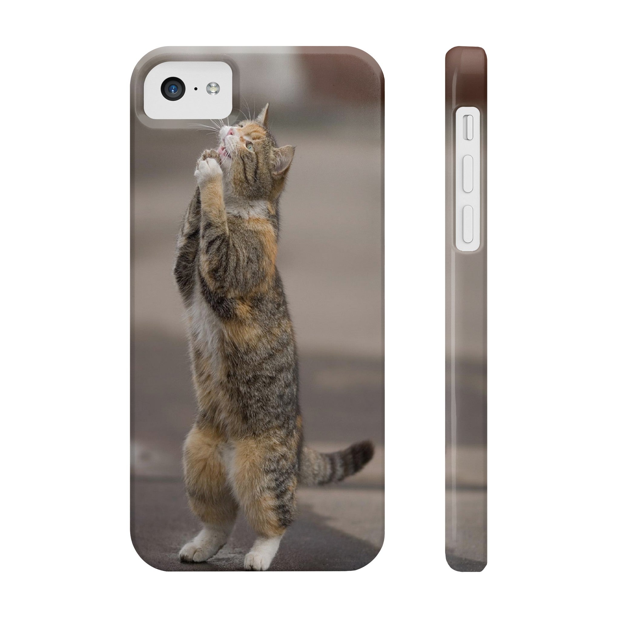 BEGGING CAT   Phone Case