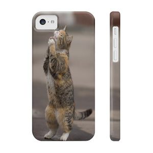 BEGGING CAT   Phone Case
