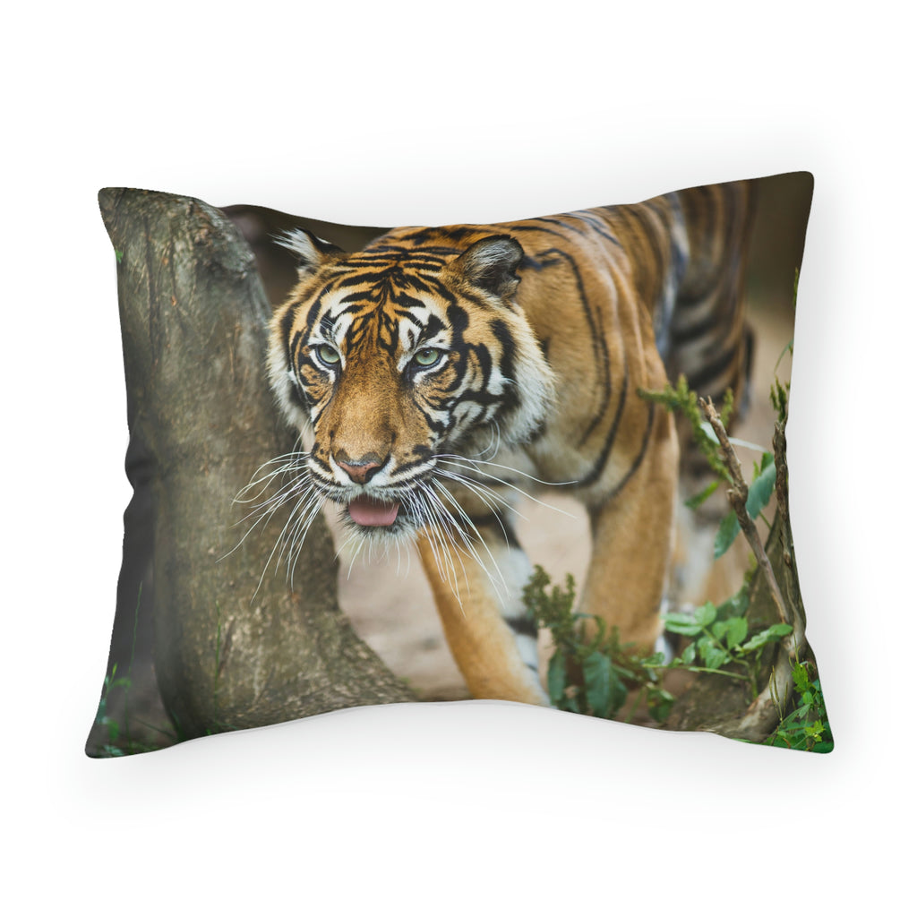 Tiger wildlife closeup Pillow Sham