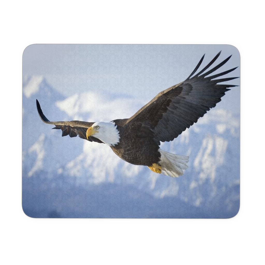 Graceful Eagle flight mousepad
