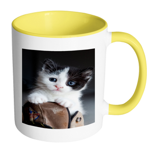 Cute Kitten accent 11 ounce coffee mug