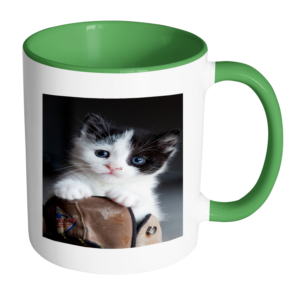 Cute Kitten accent 11 ounce coffee mug
